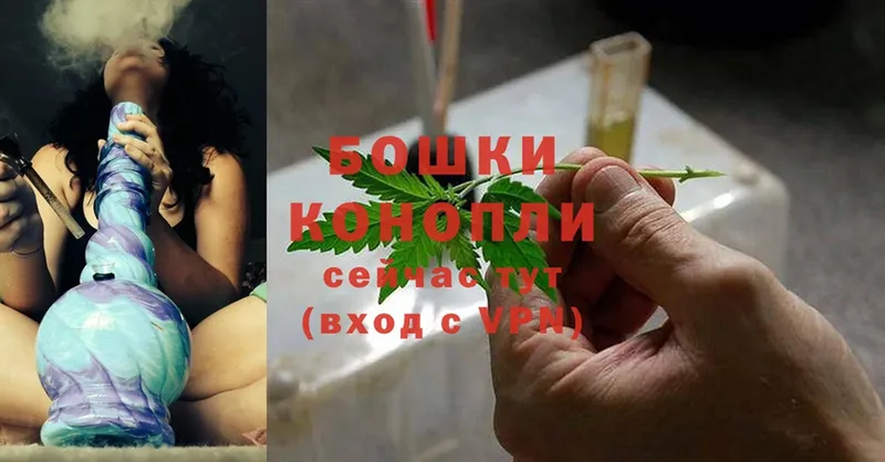 Бошки Шишки OG Kush  закладки  Жуков 